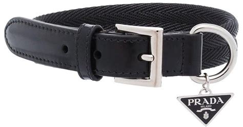 prada dog collar buy|large breed designer dog collars.